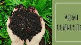 Vermicompost_Project_original